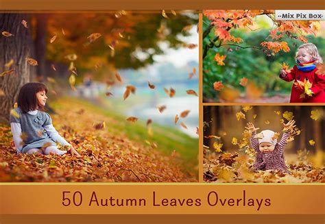 Add That Magical Touch To Your Photographs With 50 Autumn Leaves Overlays
