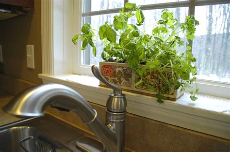 Kitchen Herb Garden Ideas Living Rich On Less