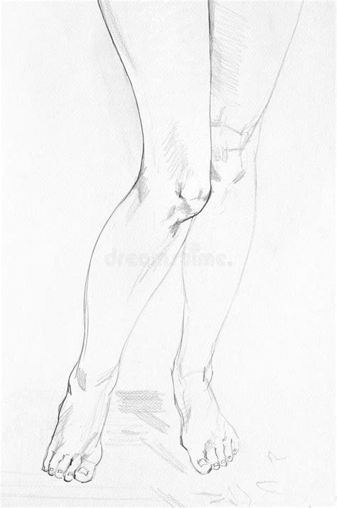 Pencil Drawing Sexy Girl Stock Illustrations 382 Pencil Drawing Sexy