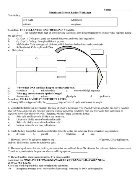Cell division gizmo answer key new 2020 cell division answer key vocabulary: 33 Holt Biology Cell Growth And Division Worksheet Answers ...