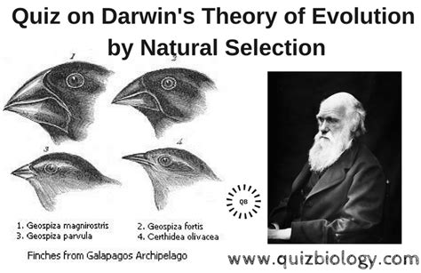 Quiz On Darwins Theory Of Evolution By Natural Selection Darwins
