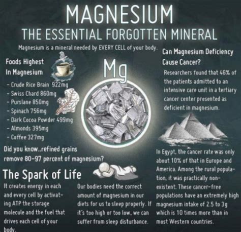 The Importance Of Magnesium In The Body Genki Do The Healthy Way