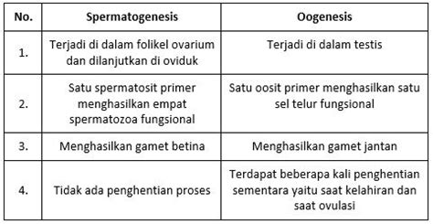 Perhatikan Tabel Perbedaan Spermatogenesis Dan Oog