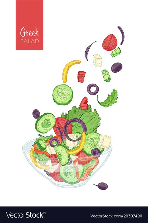 Colorful Drawing Of Greek Salad And Its Royalty Free Vector