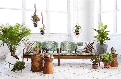 Indoor Plants For Your Interior Design Build