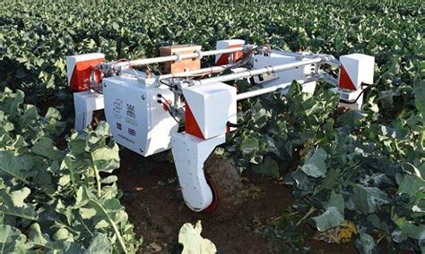 Meet Thorvald Helpful Robot Farmer Could Replace Humans In The Fields