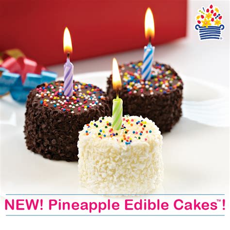 Everything you need to make that special day even more special! Pineapple Edible Cakes our newest product for birthday ...