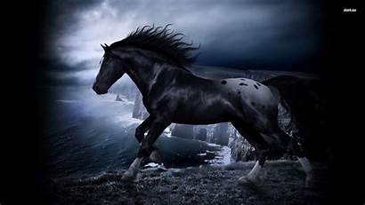 Horse Stallion Wallpapers Backgrounds Dark Desktop Digital