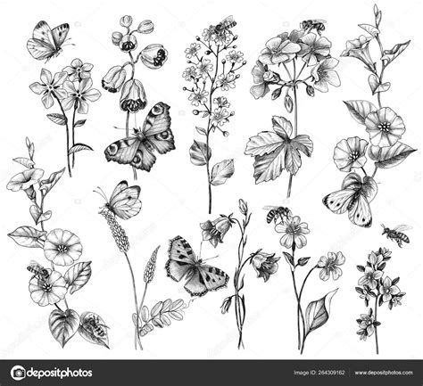 Hand Drawn Wild Flowers And Insects — Stock Photo © Valiva 264309162