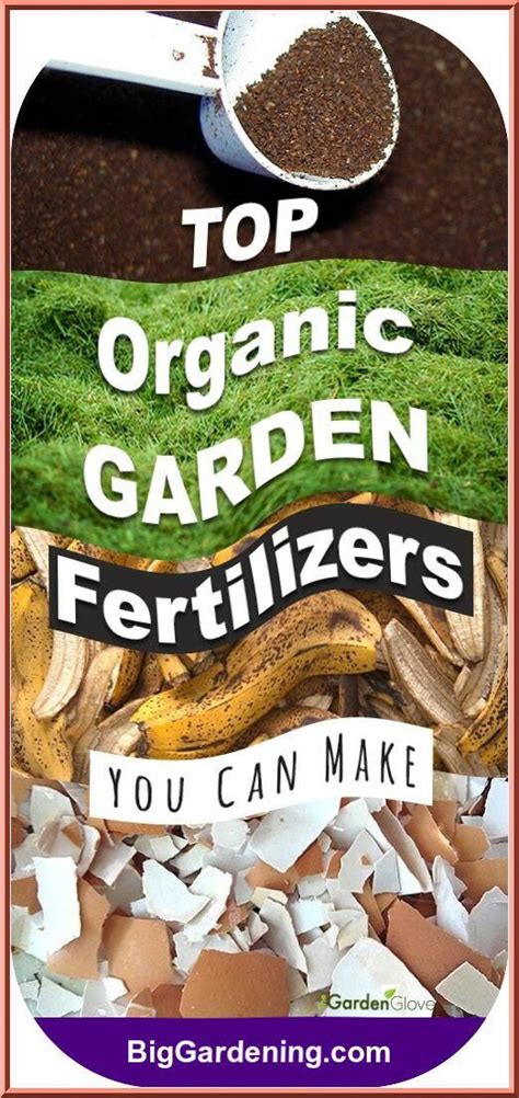 Organic fertilizers make the living soil rich and nutritious for the plants to grow. Top Organic Garden Fertilizers You Can Make Wish To make your very own organic fertilizer for ...
