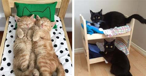 You Can Turn This Mini Ikea Doll Bed Into The Cutest Cat