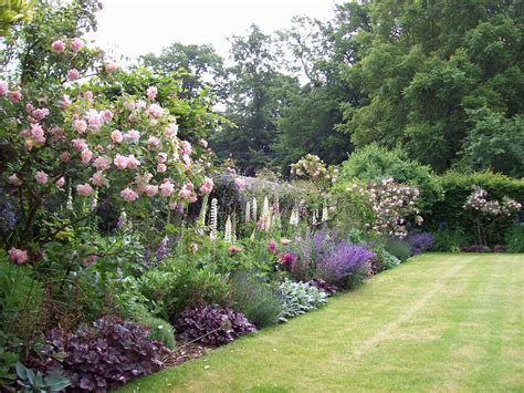 Herbaceous Borders Taylor Tripp