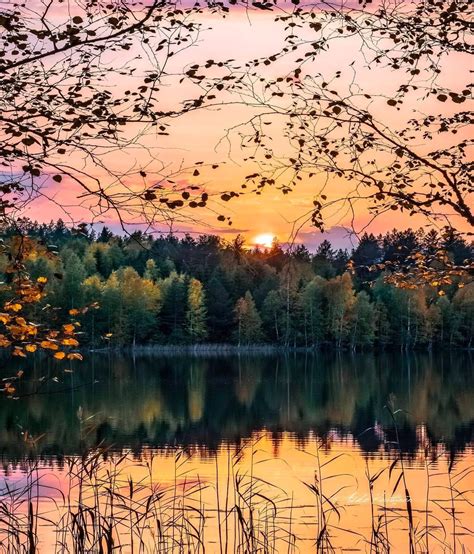 🇫🇮 Quiet Sunrise Finland By Asko Kuittinen Askokuittinen