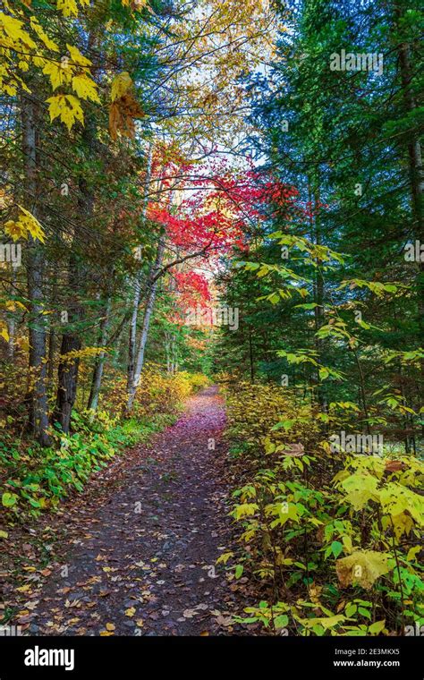 Egan Chutes Provincial Park Bancroft Ontario Canada In Autumn Stock