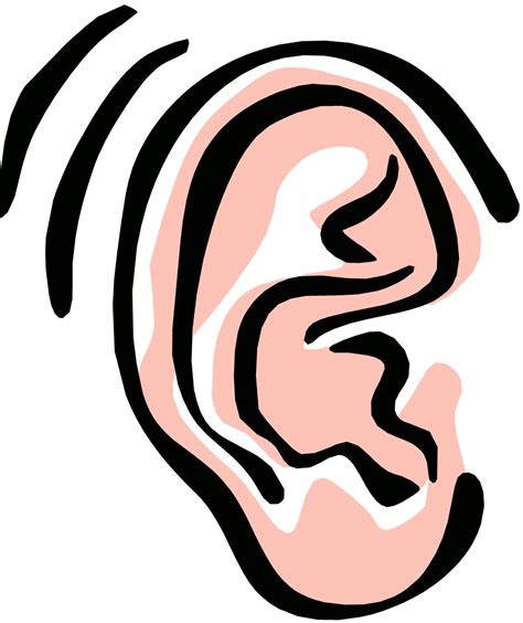 Ear Clip Art Ear Clip Art Clipart Panda Free Clipart Images