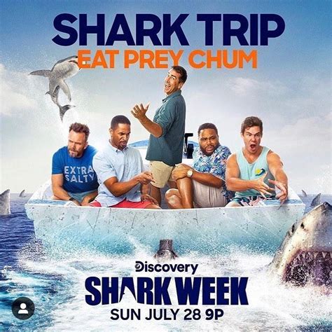 Who Is The Host Of Shark Week 2019 Meet Rob Riggle