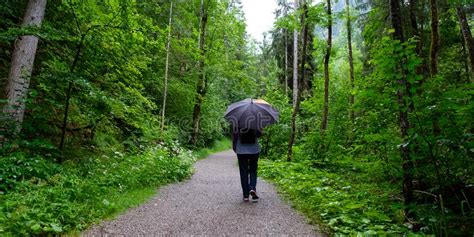 Woman With Umbrella On A Hiking Trail In The Rain Stock Image Image