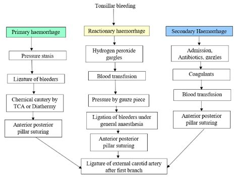 O C And P Complications Of Tonsillectomy And Management Dr Meenesh