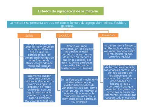 Mapa Conceptual De La Materia ¡guía Paso A Paso