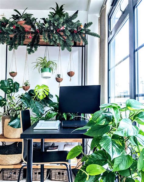 6 Creative Ways To Incorporate Plants Into Your Home