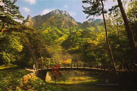 Seoraksan National Park Denis Carbone Photographer Filmmaker