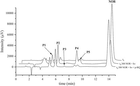 Chromatogram For The Separation Of The Chromatographic Signals Of Nor Download Scientific