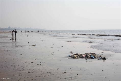 Corona Is Cleaning Up Mumbais Juhu Beach This World Environment Day And