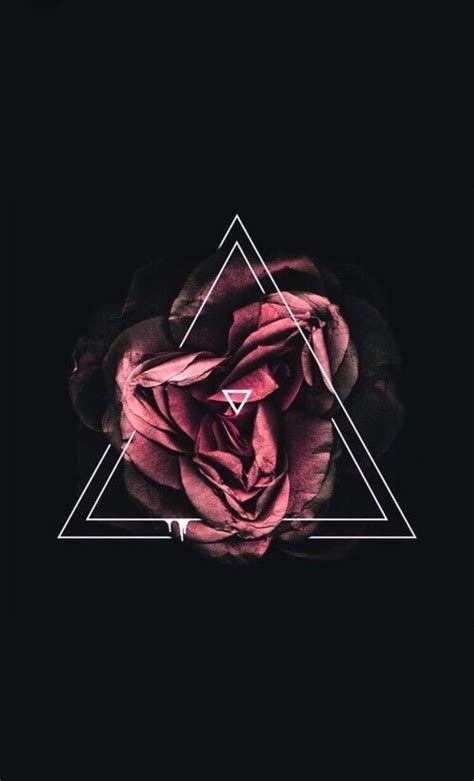 They add glamor to your computer and make it look aesthetically appealing and highly presentable. Dark Roses Aesthetic Wallpapers on WallpaperDog