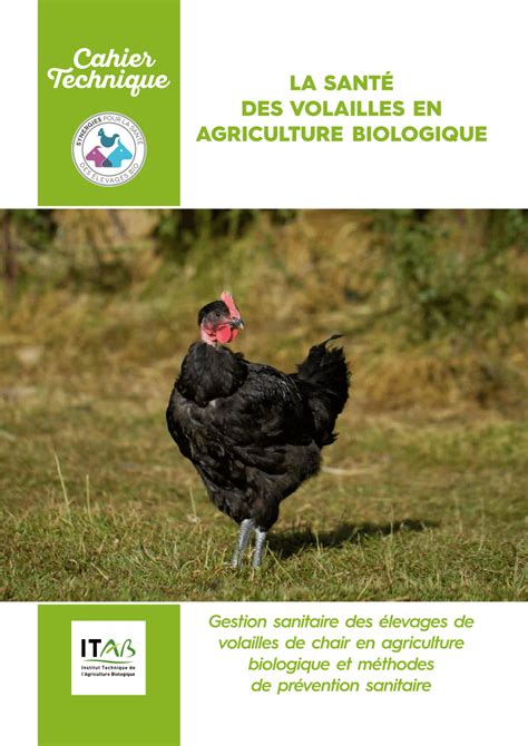 PDF La santé des volailles en agriculture biologique Gestion