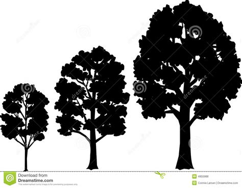 Proscenium stages have an architectural frame, known as the proscenium arch, although not always arched in shape. Tree Growth Stages/eps stock vector. Image of concept ...