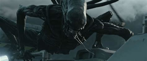 Ridley scott just gave up some good plot synopsis information on the alien covenant sequel, the now titled alien awakening! Alien: Covenant - All you need to know about Ridley Scott ...