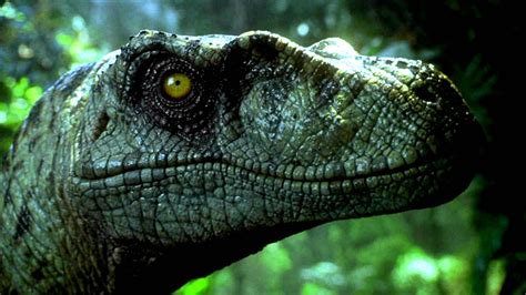 Jurassic Park Full Movie In Hindi Hd Amerigera