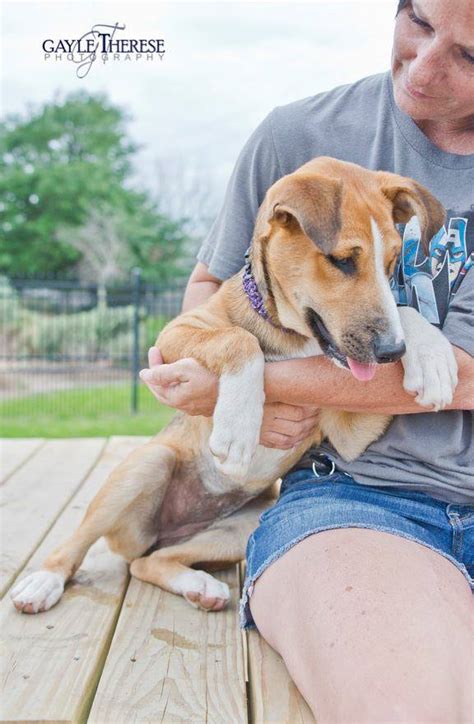 Some of our recipients are listed below. Puppy found abandoned in Texas ditch • Pet Rescue Report