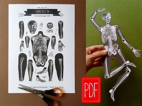 Skeleton Pdf Articulated Paper Doll Instant Download Printable Pdf Diy