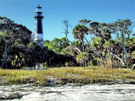 Hunting Island Lighthouse 1 South Carolina Photograph By John Trommer