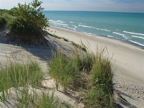 Top 15 Things To Eat The Indiana Dunes Immerse Yourself In Natures