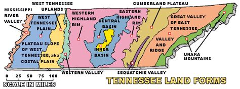 Tennessee Topography Map Tngenweb