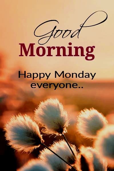 Good Morning Happy Monday Everyone Good Morning Wishes And Images