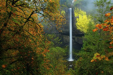 Fall Color And Latourell Falls In The Columbia River Gorge National