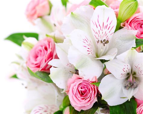 A Bouquet Flowers Pink Roses White Orchids Wallpaper 1280x1024