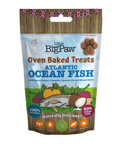 Little Big Paw Oven Baked Ocean Fish Treat For Dog 130g Buy Best Price