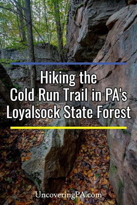 Hiking Trails In Bucks County Pa Stephannirmaier
