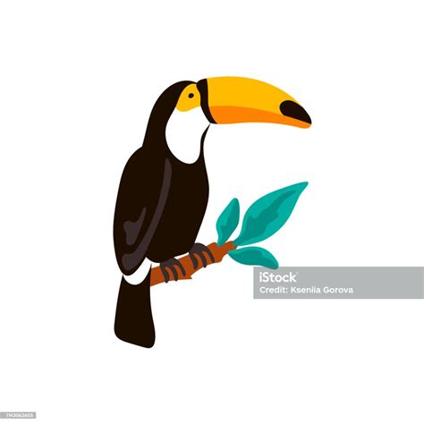 Hand Drawn Toucan Sitting On The Branch Vector Illustration Stock