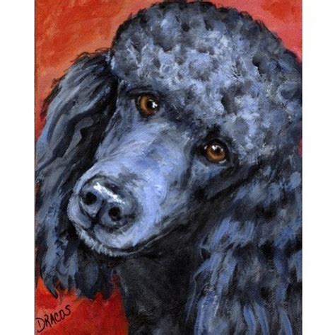 Poodle Dog Art Print Of Original Painting By Dottie Dracos Black