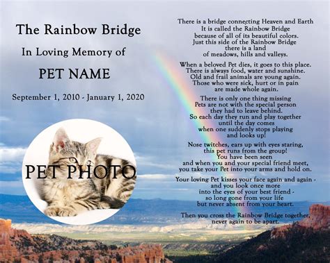 Personalized Rainbow Bridge Pet Loss Pet Memorial Poem Dog Cat Etsy