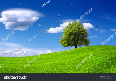 Nature Green Landscape Stock Photo 173401109 Shutterstock