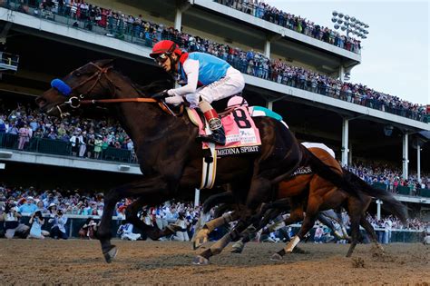 As always, watch for the 2021 kentucky derby favorites to enter into preakness contention as the major race season kicks off in may. Preakness Stakes Probables led by Derby winner Medina ...