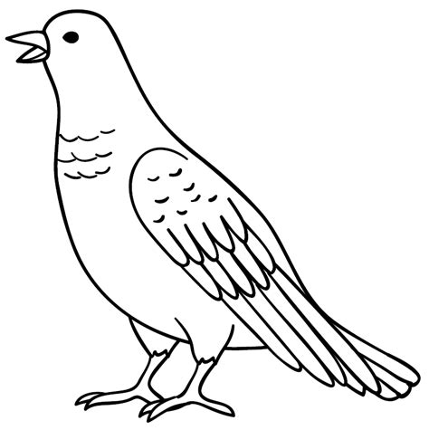 Lukisan Burung Merpati Hitam Putih Merpati Hutan Perak Wikiwand