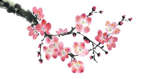 Chinese Blossom Painting At Explore Collection Of