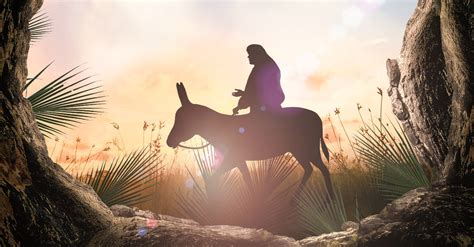 What Is The Importance Of The Triumphal Entry Bible Study